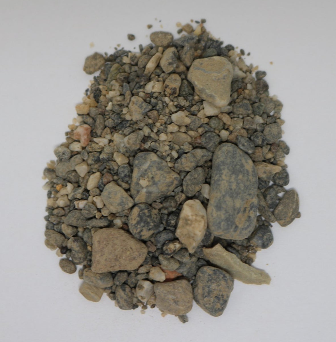 1.LB of Gold Paydirt Explorer Series North American Ancient River Bed –  Irwin's Paydirt