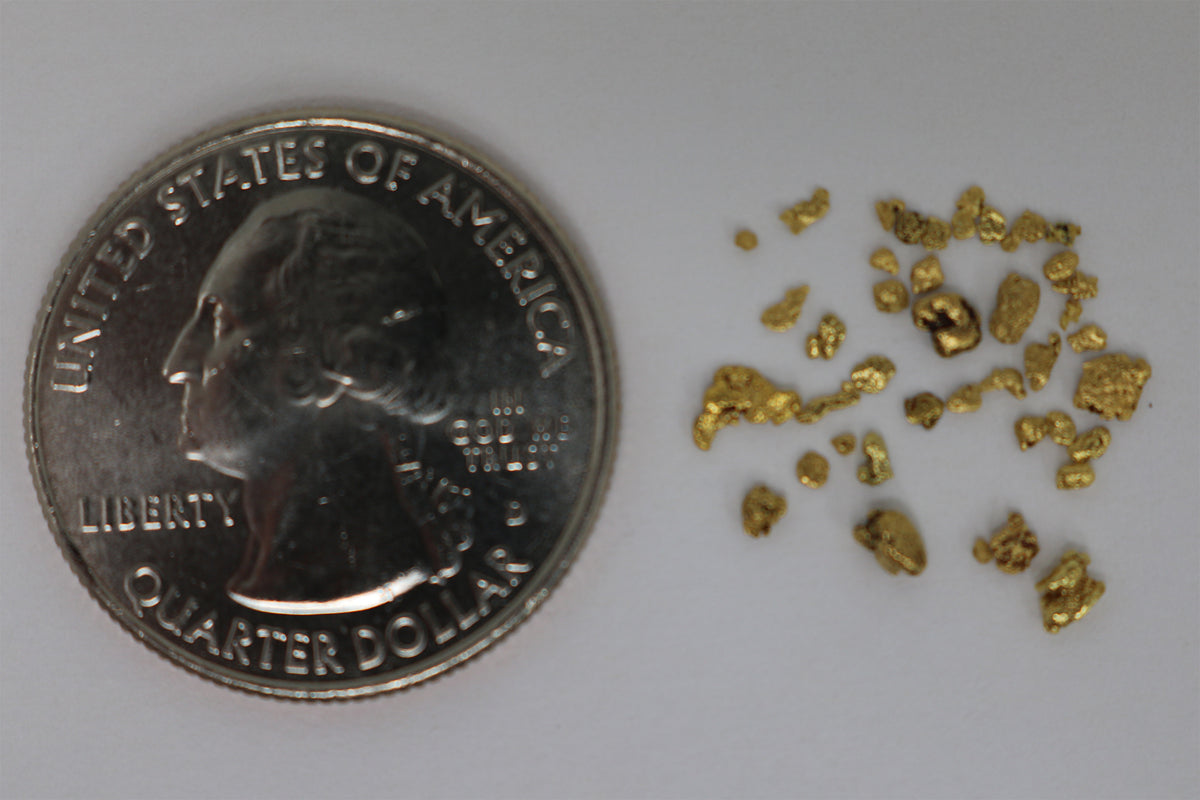 Gold Nuggets in Paydirt! Best value you will ever find! 