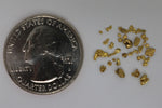1.LB of Gold Paydirt - 1/2 Gram + .50 Gram Nugget-Novice