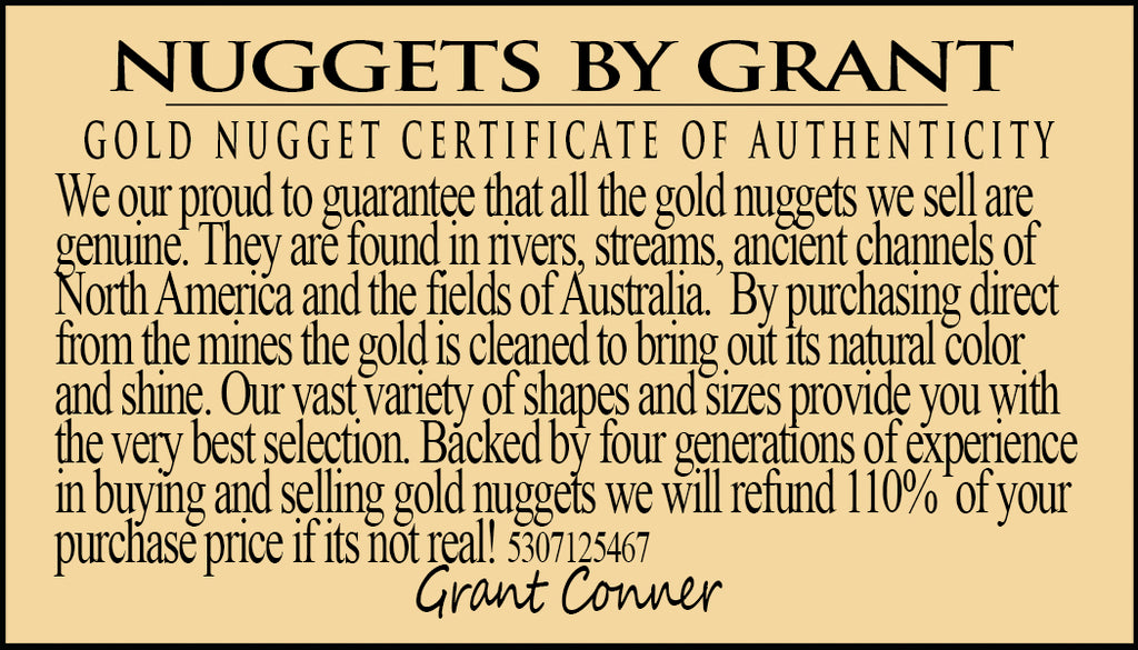 1.LB of Gold Paydirt - 1/2 Gram + .50 Gram Nugget-Novice – Irwin's