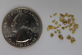 1.LB of Gold Paydirt - 1/2 Gram-Novice