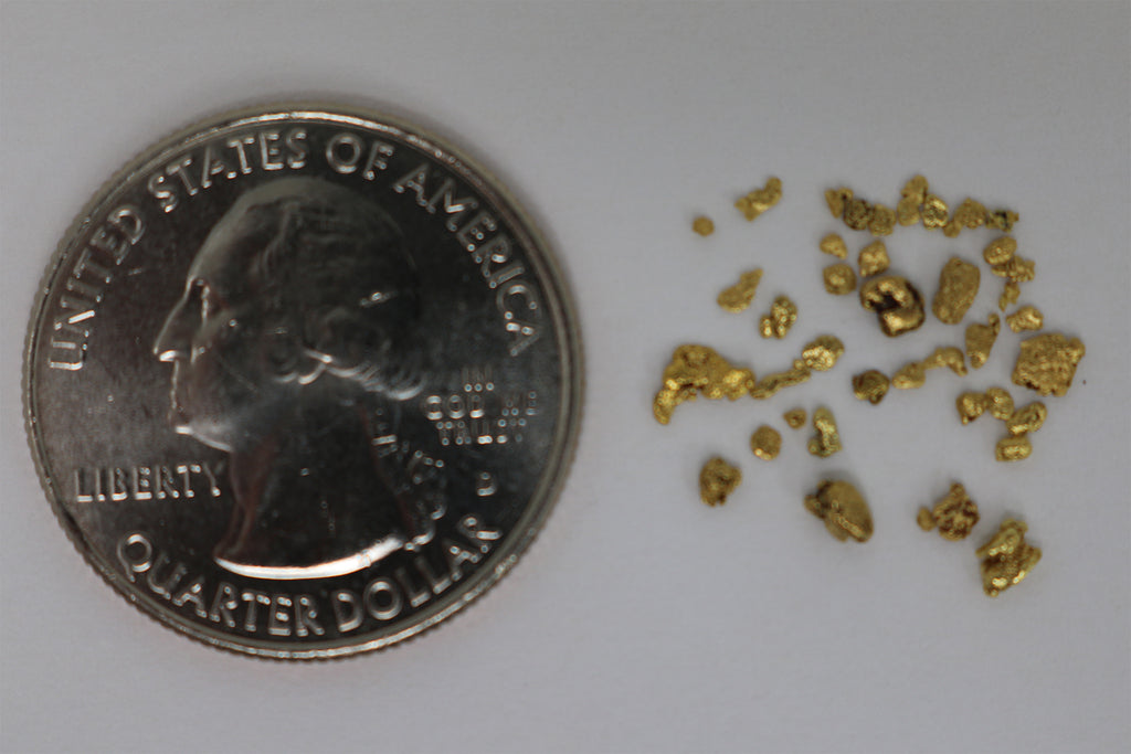 1.LB of Gold Paydirt - 1/2 Gram + .50 Gram Nugget-Novice – Irwin's Paydirt